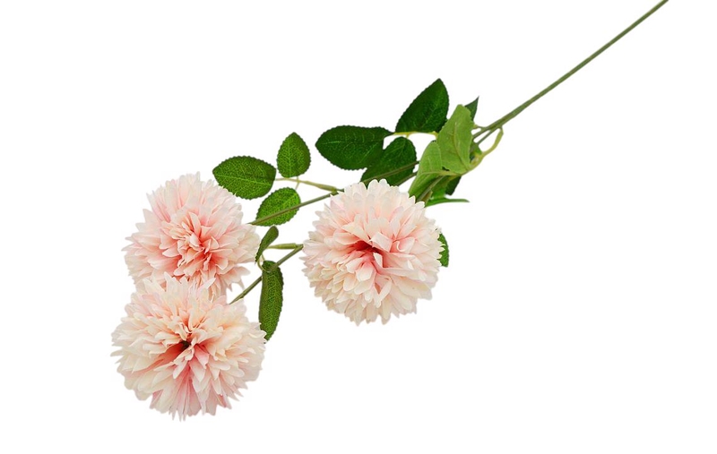 Chryzantéma 3 květy 65cm sv. růžová 