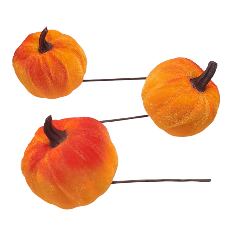 Dýně v boxu 6cm 3ks semiš