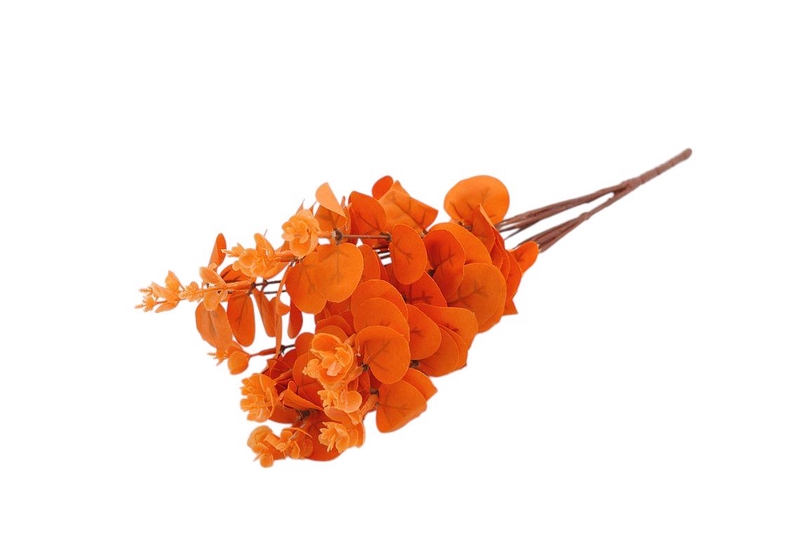 Eukalyptus keřík 48cm tm. oranžový