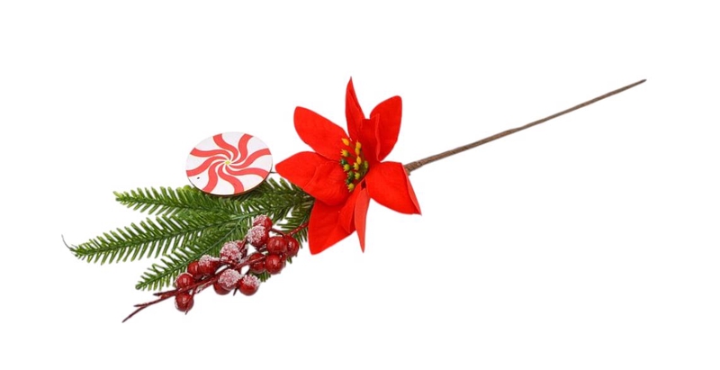 Vánoční hvězda s lízatkem a bobulí 42cm (12ks/bal)